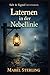 Laternen in der Nebellinie: Ein Cosy-Krimi über Signalcodes, nächtliche Wege und Botschaften, die in die Irre führen sollen (Salt & Signal Mysteries) (German Edition)