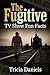 The Fugitive: TV Show Fun Facts