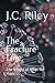 The Fracture Line: The Weight of What We Made
