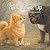 Potter Stands Up: A story a...