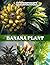 Banana Plant Photography Book: Vibrant Collection Featuring Tropical Foliage Patterns For Nature Enthusiasts And Home Decor Inspiration