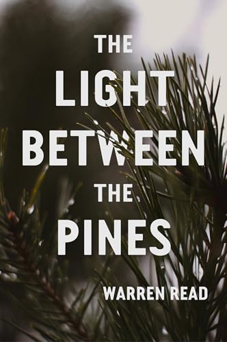 The Light Between the Pines (Paperback)
