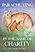 Parachuting in the Name of Charity by Rushmi Sethi