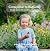 Caterpillar to Butterfly: a...