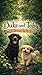 Duke And Toby And The Stranger In The Woods: A Story About Understanding, Empathy, and Finding the Courage to Get Close (Brothers Forever)
