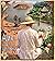 África: luces y sombras (Continentes nº 1) (Spanish Edition)