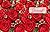 Red Rose Journal
