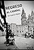 REGRESO AL CAMINO, UN NUEVO DIARIO. (Spanish Edition)