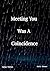 Meeting You Was A Coincidence: MYWAC