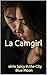 La Camgirl: série Spicy in the City (French Edition)