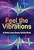 Feel the Vibrations: A Perf...