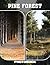 Pine Forest Photo Book: Tall Evergreen Trees With Rustic Woodland Charm Fresh Pine Scents And Serene Outdoor Beauty In Natural Forest Photography