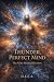 Thunder, Perfect Mind by D.S.E.A.