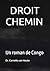DROIT CHEMIN: Un roman de Congo (AFRICA V.) (French Edition)