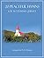 20 Peaceful Hymns for Woodwind Quintet