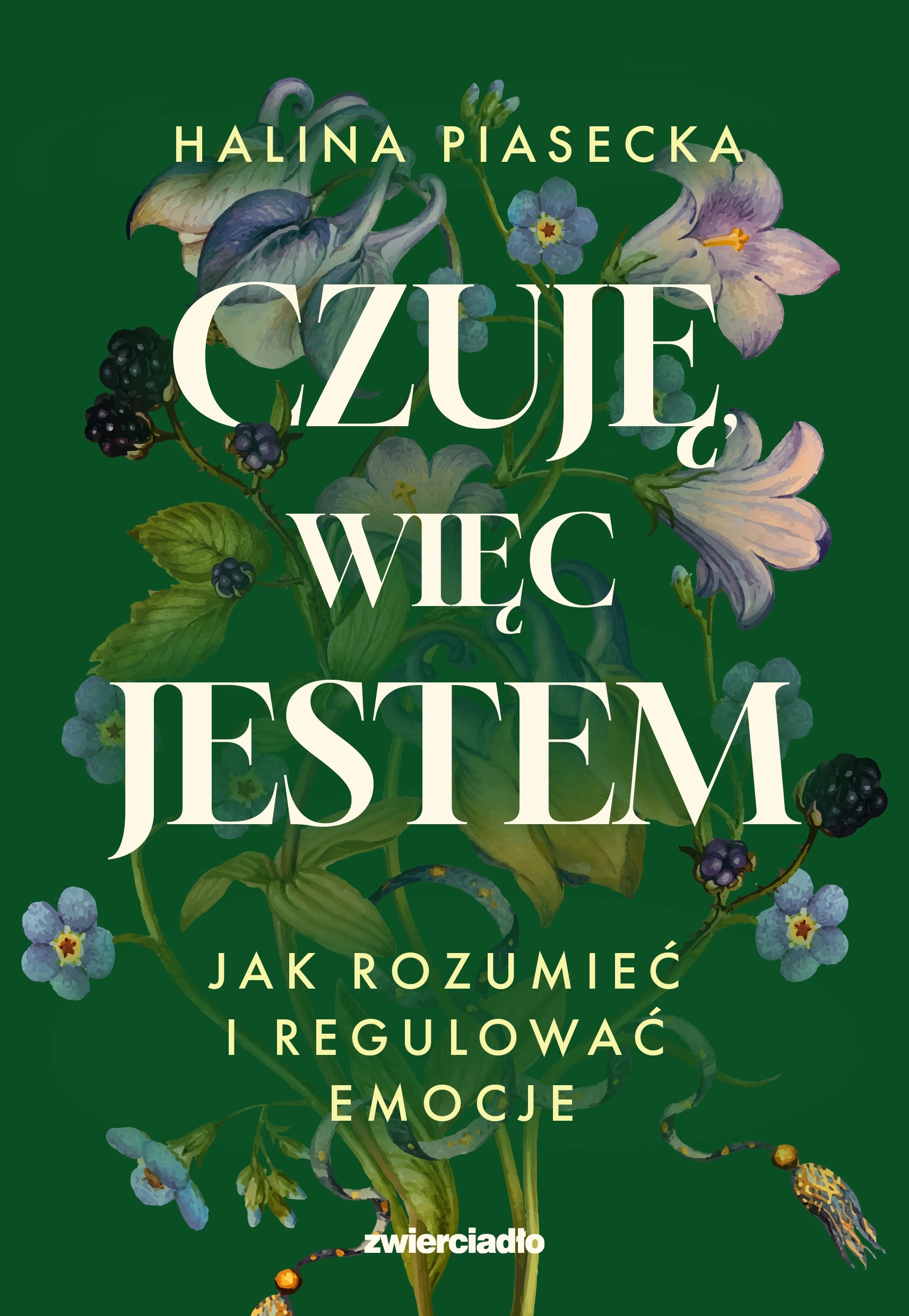 Czuję, więc jestem. Jak rozumieć i regulować emocje (Paperback)