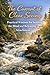 The Current of Clear Seeing: Practical Wisdom for Settling the Mind and Releasing Attachment