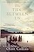 The Tide Between Us: An Irish-Caribbean Story of Slavery & Emancipation