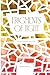 Fragments of Light: A call to remember who you are