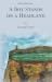 A Boy Stands on a Headland