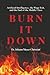 BURN IT DOWN: Artificial Intelligence, the Wage Exit, and the End of the Middle Class