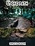 Stone Path Photo Book: Historic Pathways Captured In Stunning Photos Featuring Timeless Trails And Charming Outdoor Landscapes