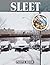 Sleet Photo Book: Freezing Rain And Winter Precipitation Photography Showcasing Ice Crystals Snow Patterns And Cold Weather Scenes In Unique Weather Images