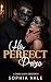 His Perfect Prize: A Dark M...