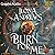 Burn for Me by Ilona Andrews