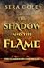 The shadow and the flame (The flamebound chronicles, #1)