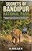 Secrets of Bandipur National Park: A Journey into the Wild Heart of Southern India: Wildlife, Safari Experience & Conservation