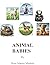 ANIMAL BABIES