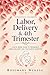 Supernatural Childbirth: A Faith-Based Guide to Pregnancy, Labor, Delivery, and the Fourth Trimester
