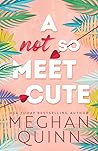 Book cover for A Not So Meet Cute (Cane Brothers, #1)