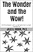 The Wonder and the Wow!: Communication with Human and Non-Human Intelligence