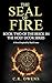 The Seal of Fire: Book Two of The Brick in the Holy Door Series