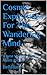 Cosmic Expositions For The Wandering Mind: Where My Subconscious Meets Reality