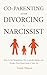 Co-Parenting After Divorcing a Narcissist: How to Set Boundaries, Win Custody Battles, and Protect Your Peace from a Toxic Ex