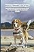 Beagle Training Essentials: From Curious Puppy to Reliable Companion — The Complete Guide to Obedience and Behavior