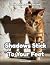 Shadows Stick to Your Feet