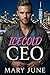 Icecold CEO (German Edition)