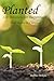 Planted: 120 Devotions for Deepening Your Roots in Christ