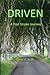 Driven: A Post Stroke Journey