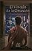 El Vínculo de la Obsesión (Saga Uruboro) (Spanish Edition)