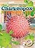 Chicken Pox (Dangerous Diseases)