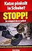 Katze pinkelt in Schuhe?: STOPP! So stoppst du es sofort – Ursachen erkennen und das Verhalten dauerhaft lösen (Katzen markieren stoppen) (German Edition)