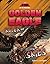 Golden Eagle: Ruler of the Skies (TOP of the Food Chain)
