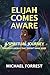 Elijah Comes Aware: A Spiritual Journey Through A World That Doesn’t Make Sense