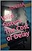 Wild Sisters: The Cost of Delay (Tiangang Book 2)