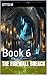 THE FIREWALL BREACH: Book 6 (The Architect of Avalon Series)